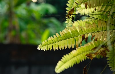 图聚科技